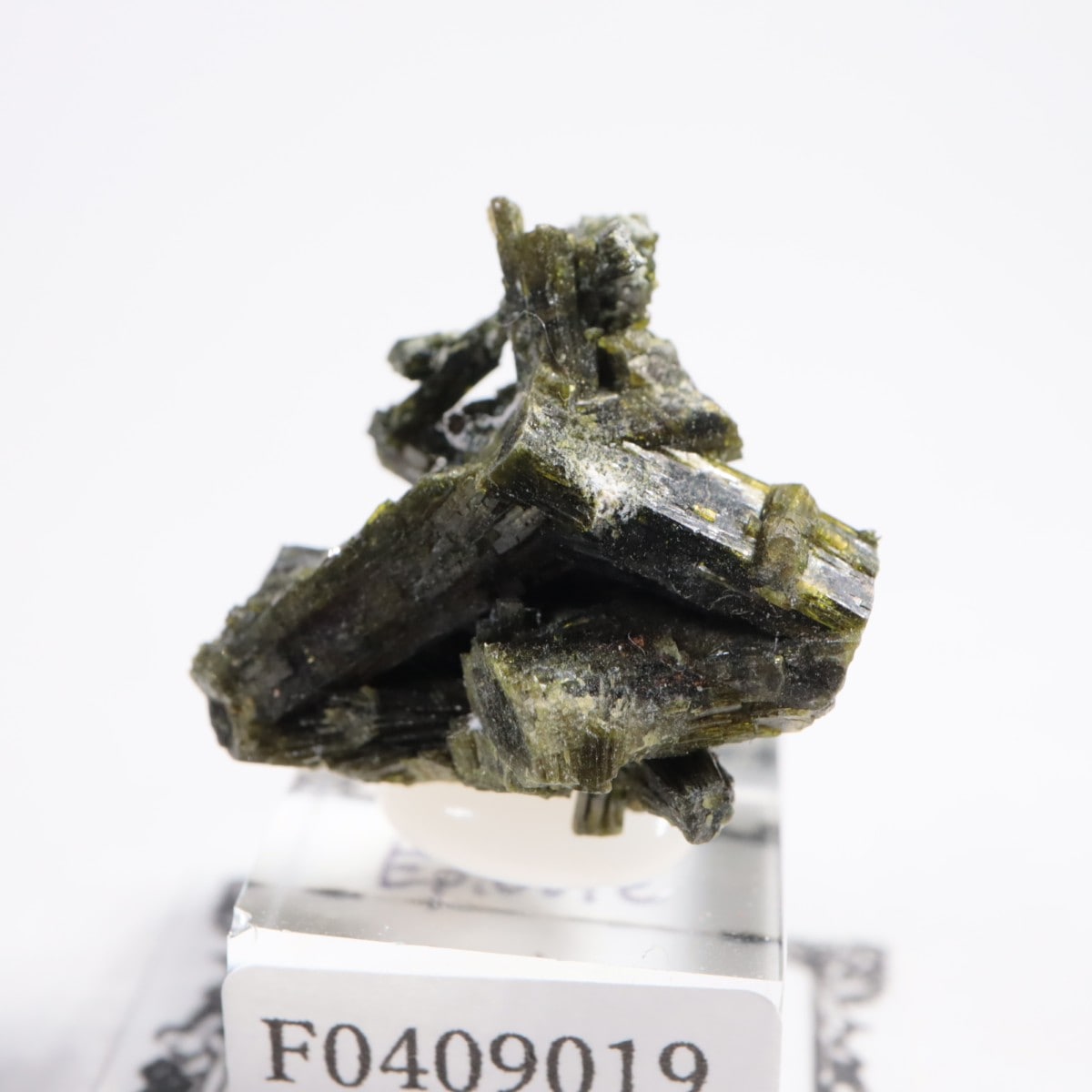 �ѥ������� ���ԥɡ���