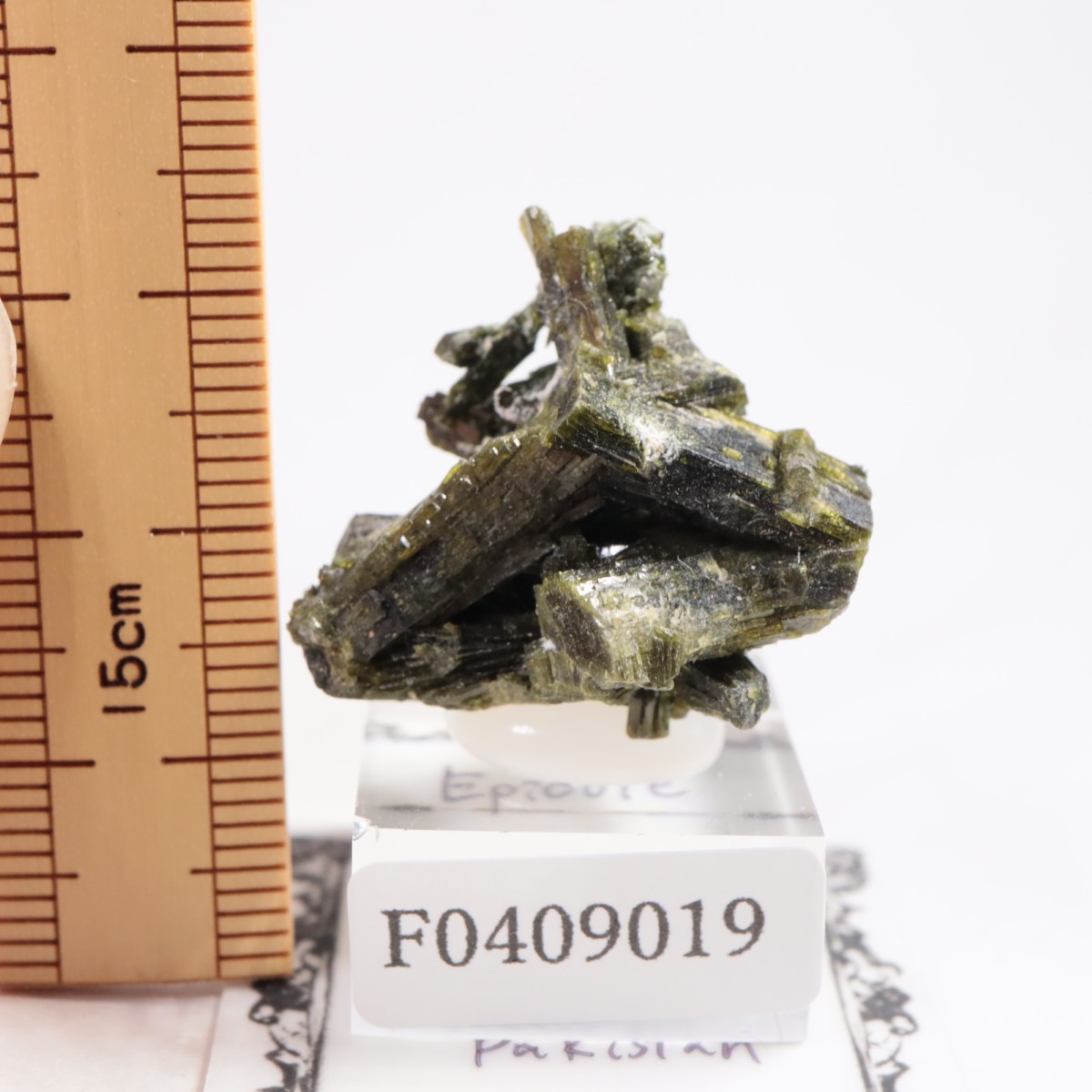 �ѥ������� ���ԥɡ���