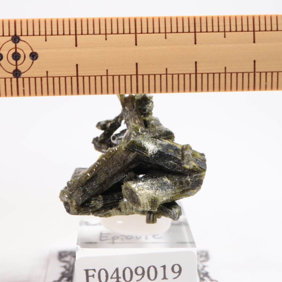 �ѥ������� ���ԥɡ���