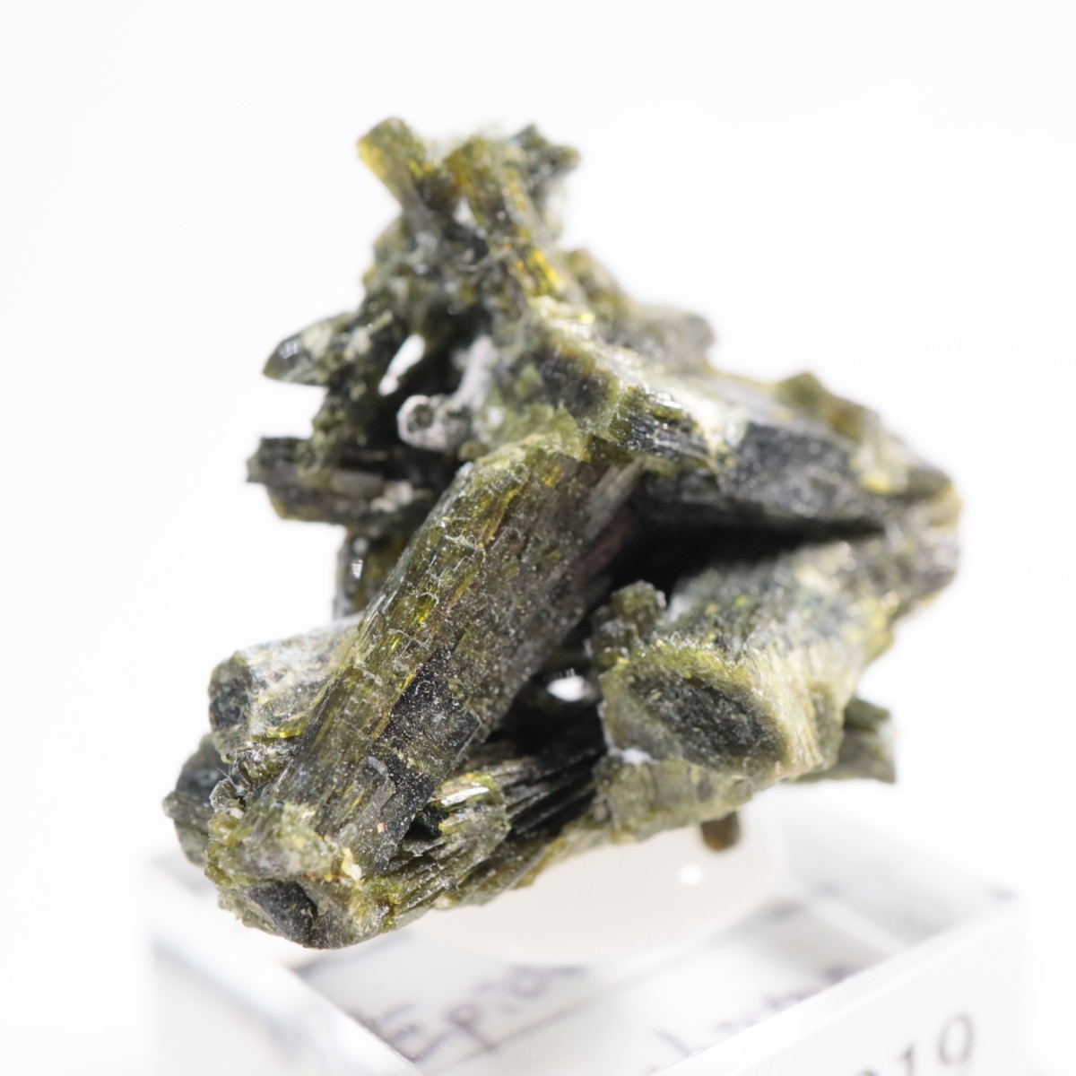 �ѥ������� ���ԥɡ���