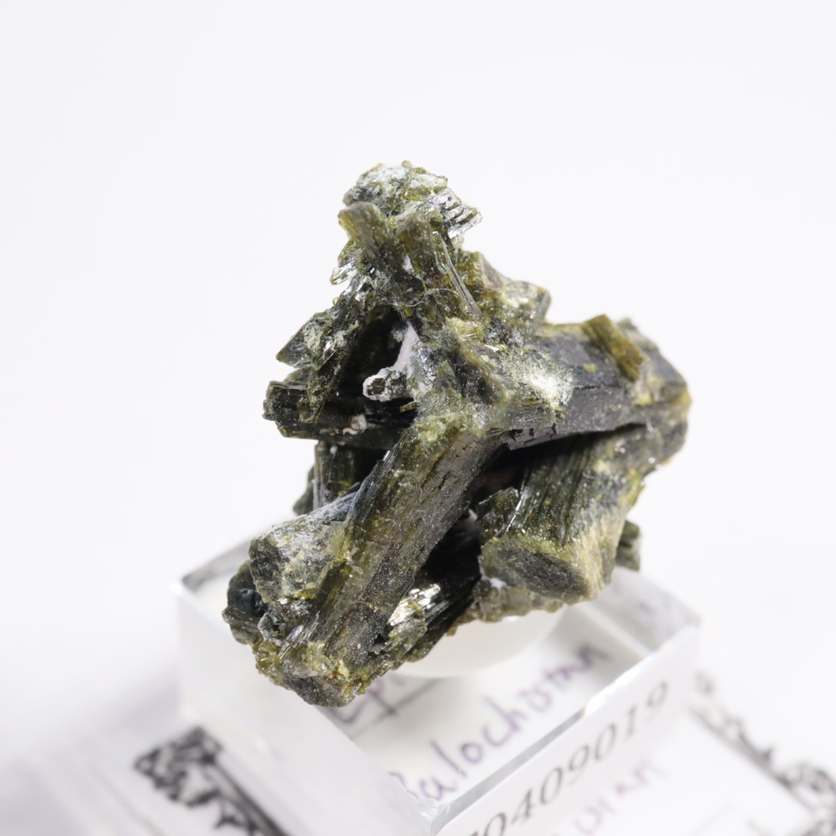 �ѥ������� ���ԥɡ���