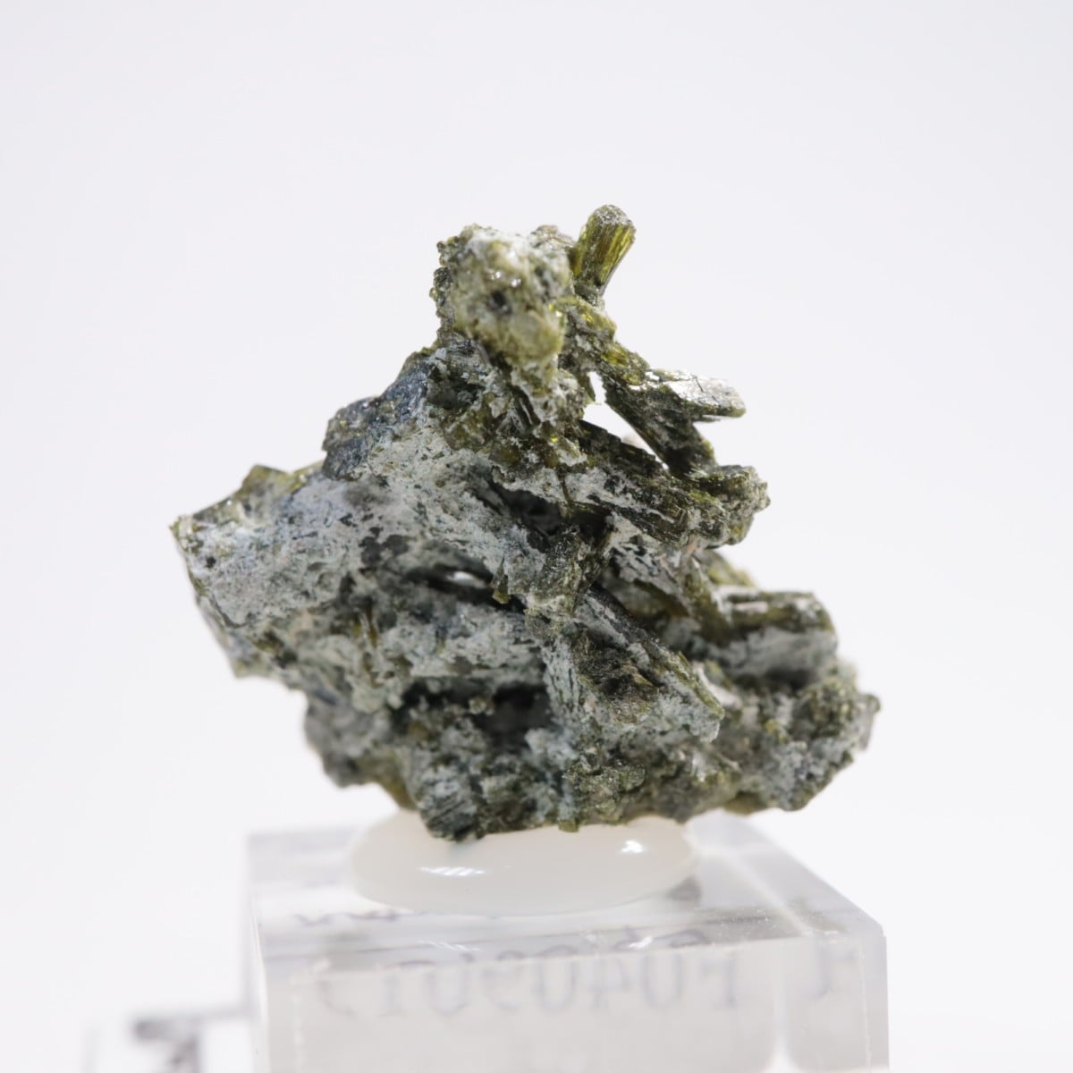 �ѥ������� ���ԥɡ���