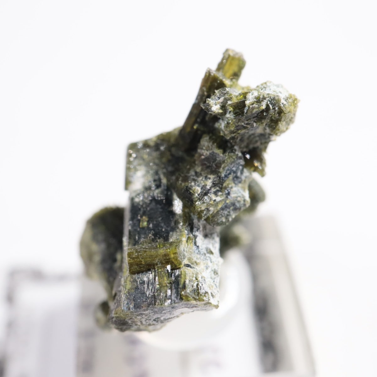 �ѥ������� ���ԥɡ���