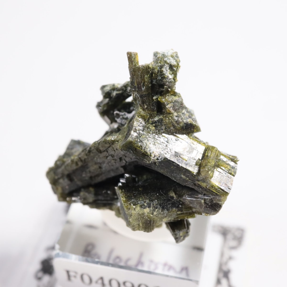 �ѥ������� ���ԥɡ���