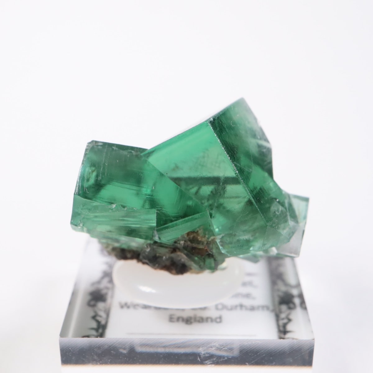 Greedy Hog Pocket�� �ե����饤��