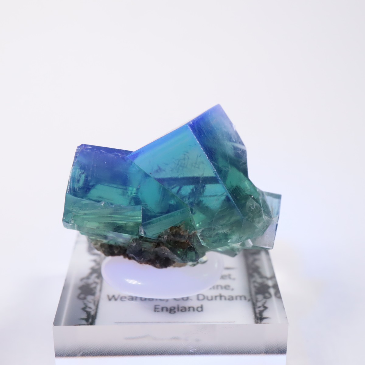 Greedy Hog Pocket�� �ե����饤��