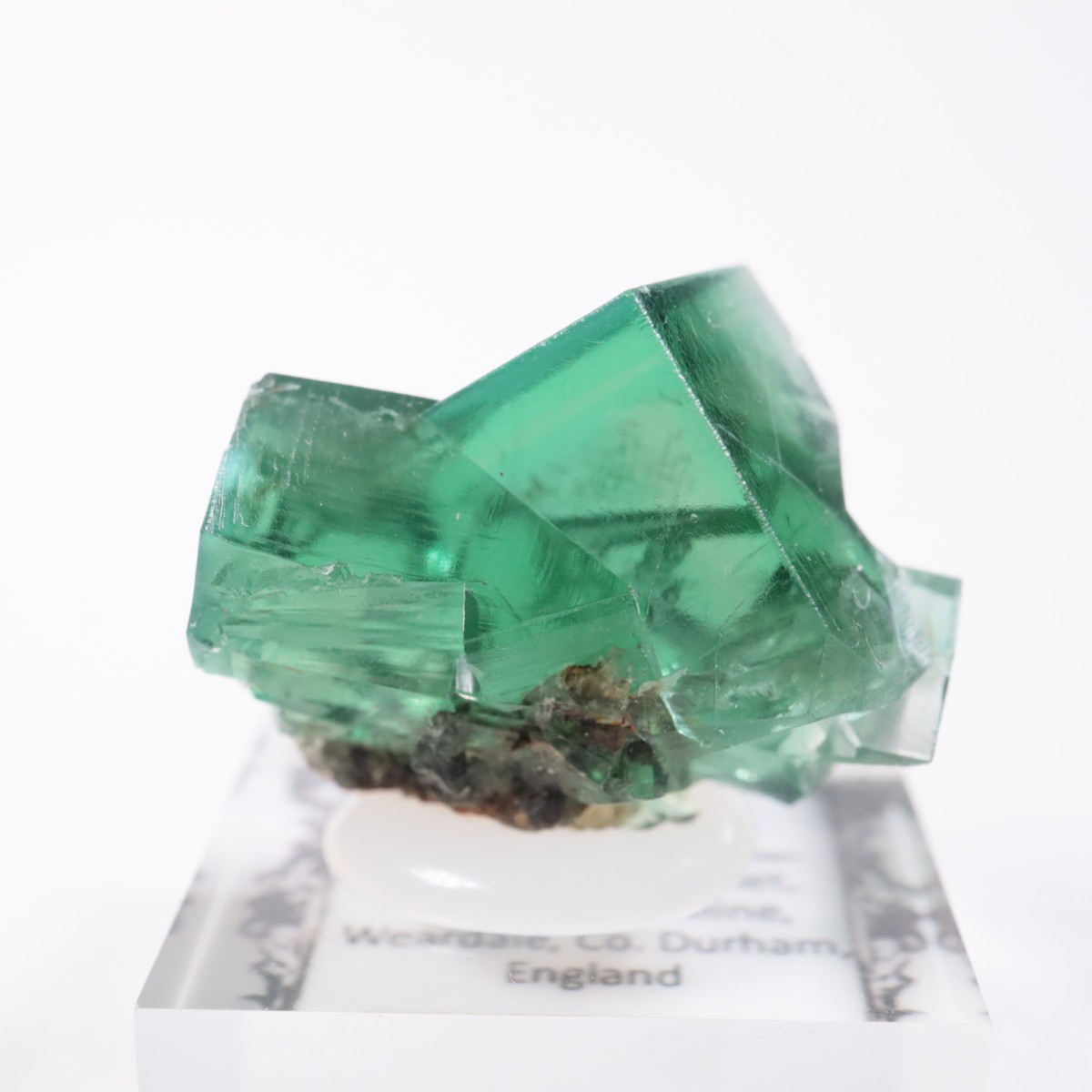 Greedy Hog Pocket�� �ե����饤��