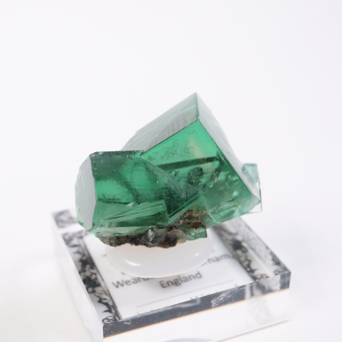 Greedy Hog Pocket�� �ե����饤��