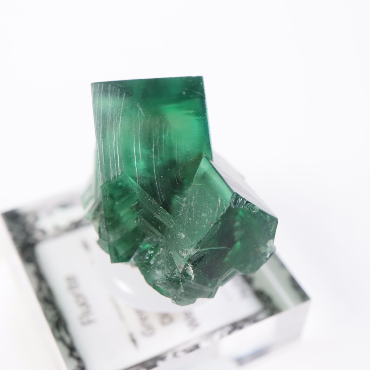 Greedy Hog Pocket�� �ե����饤��