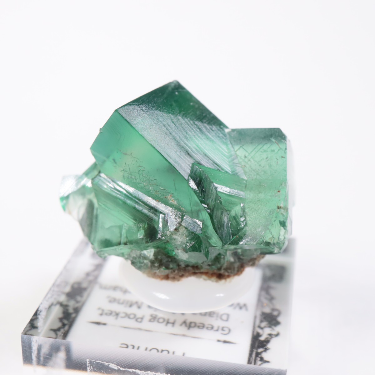 Greedy Hog Pocket�� �ե����饤��