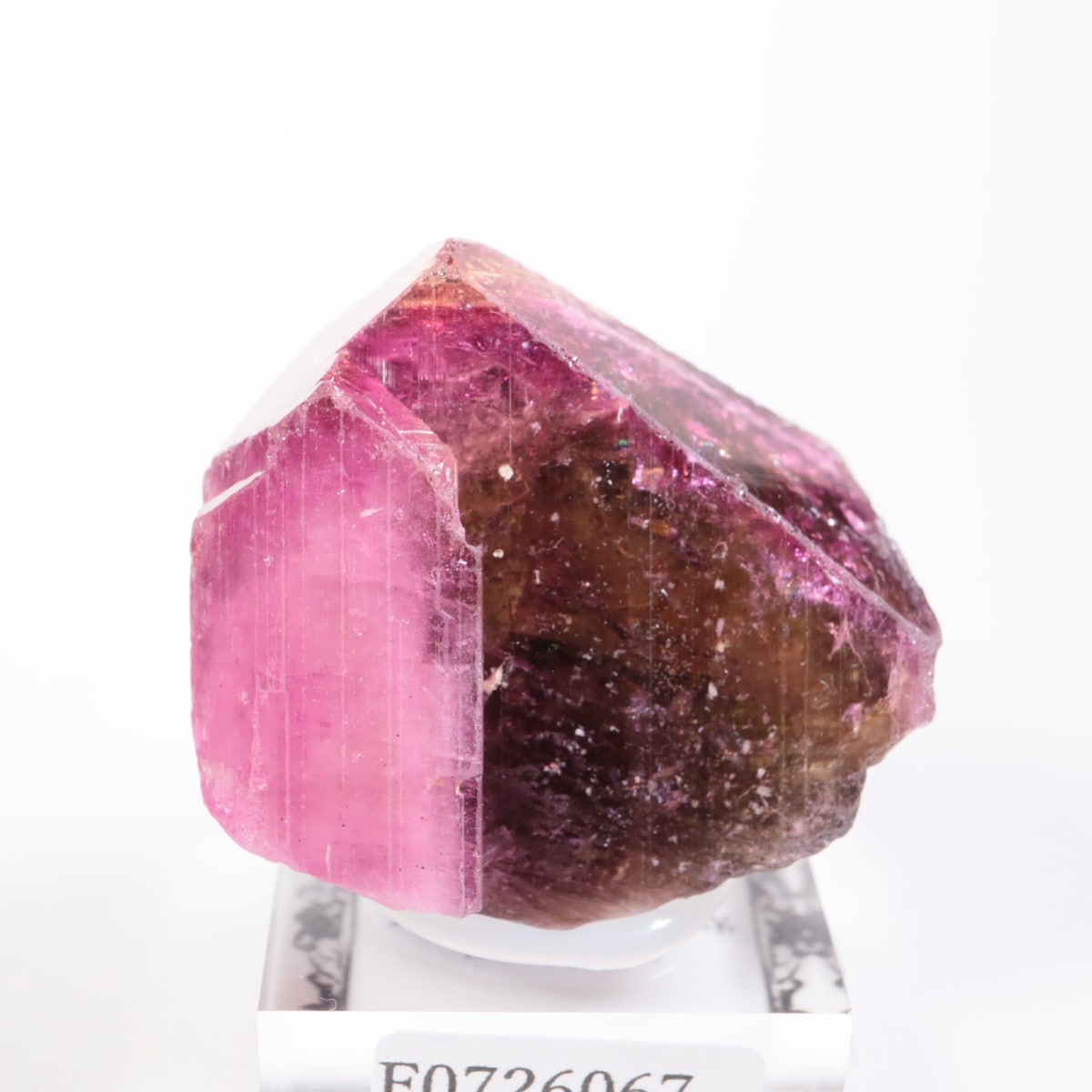 �ޥ��������뻺 �ȥ�ޥ��