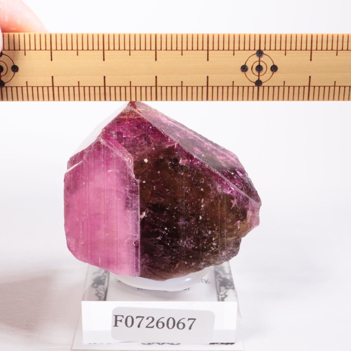 �ޥ��������뻺 �ȥ�ޥ��