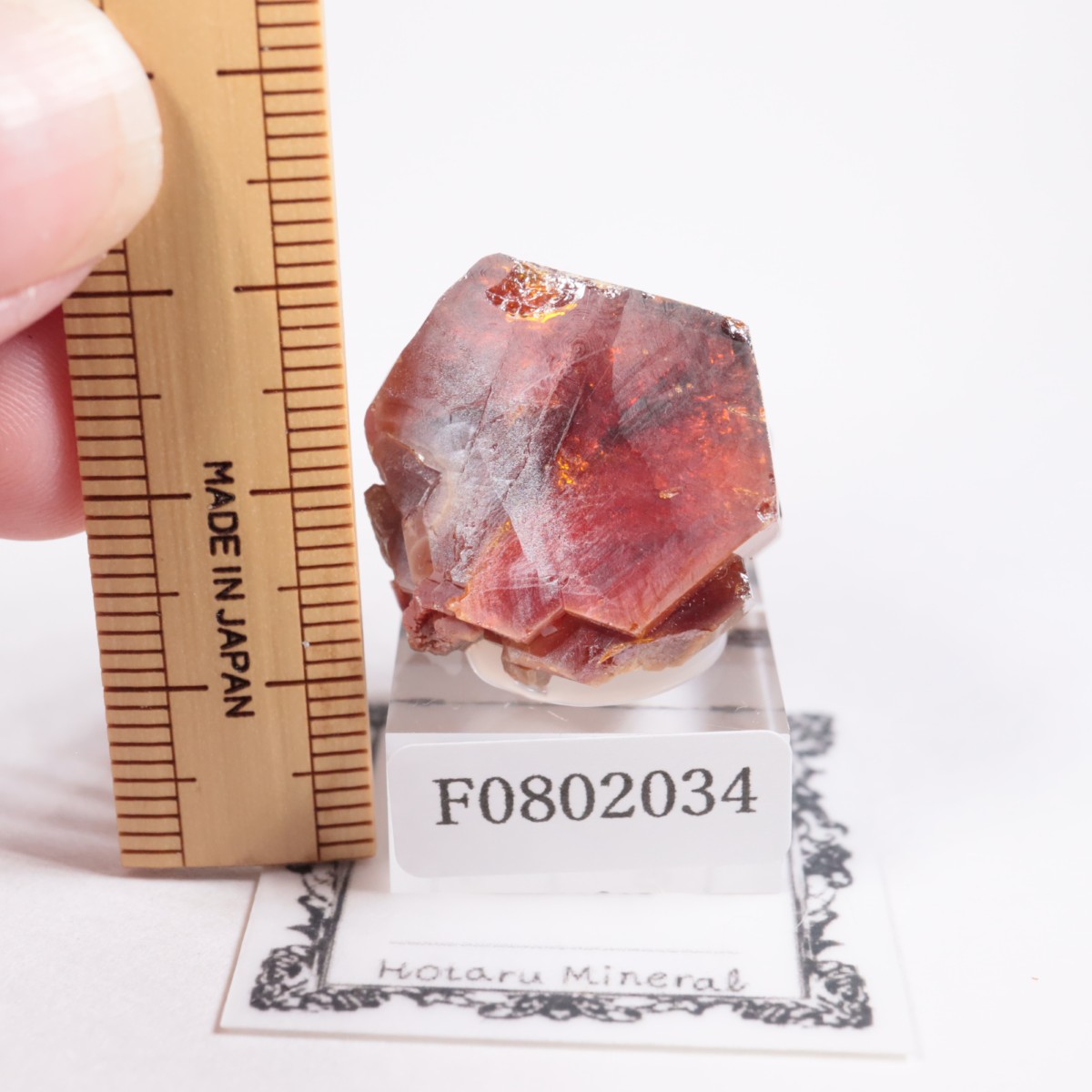 ����å��� �Хʥǥ��ʥ���