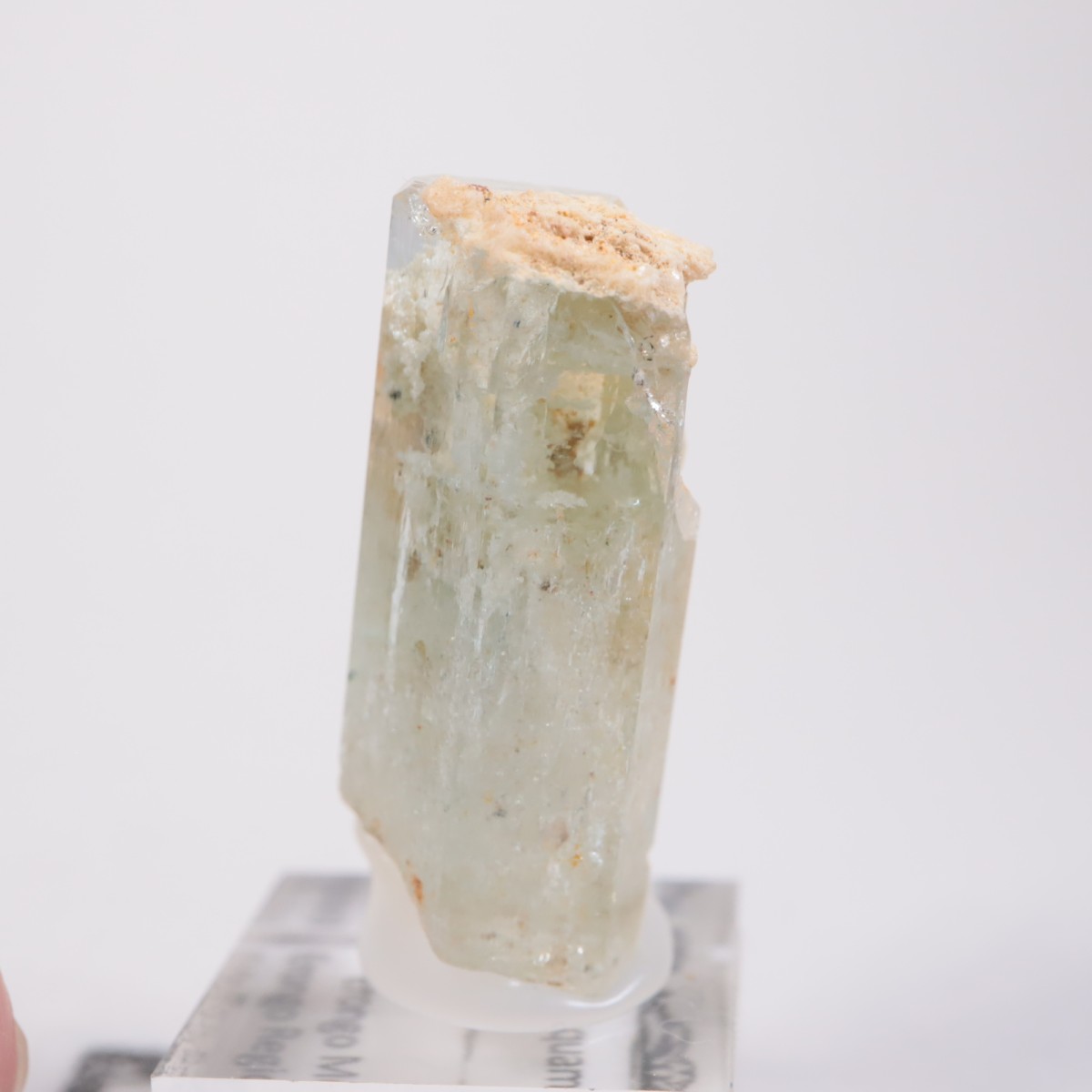 �����󥴹ۻ��� �������ޥ��