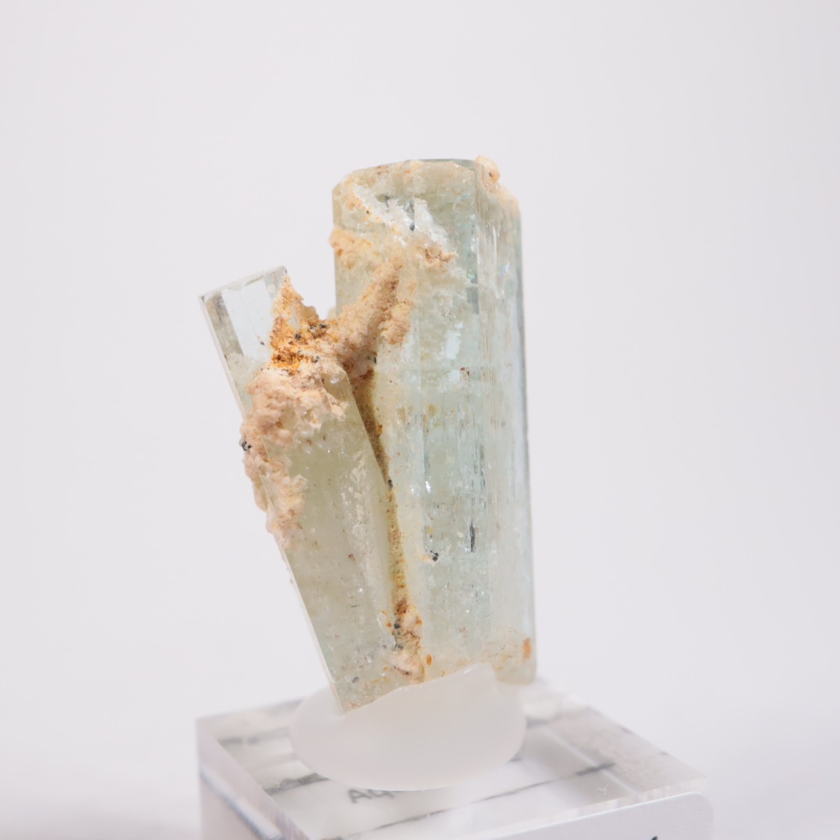 �����󥴹ۻ��� �������ޥ��