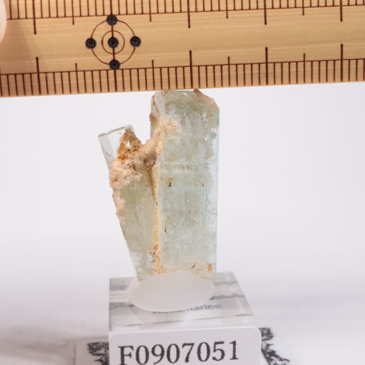 �����󥴹ۻ��� �������ޥ��