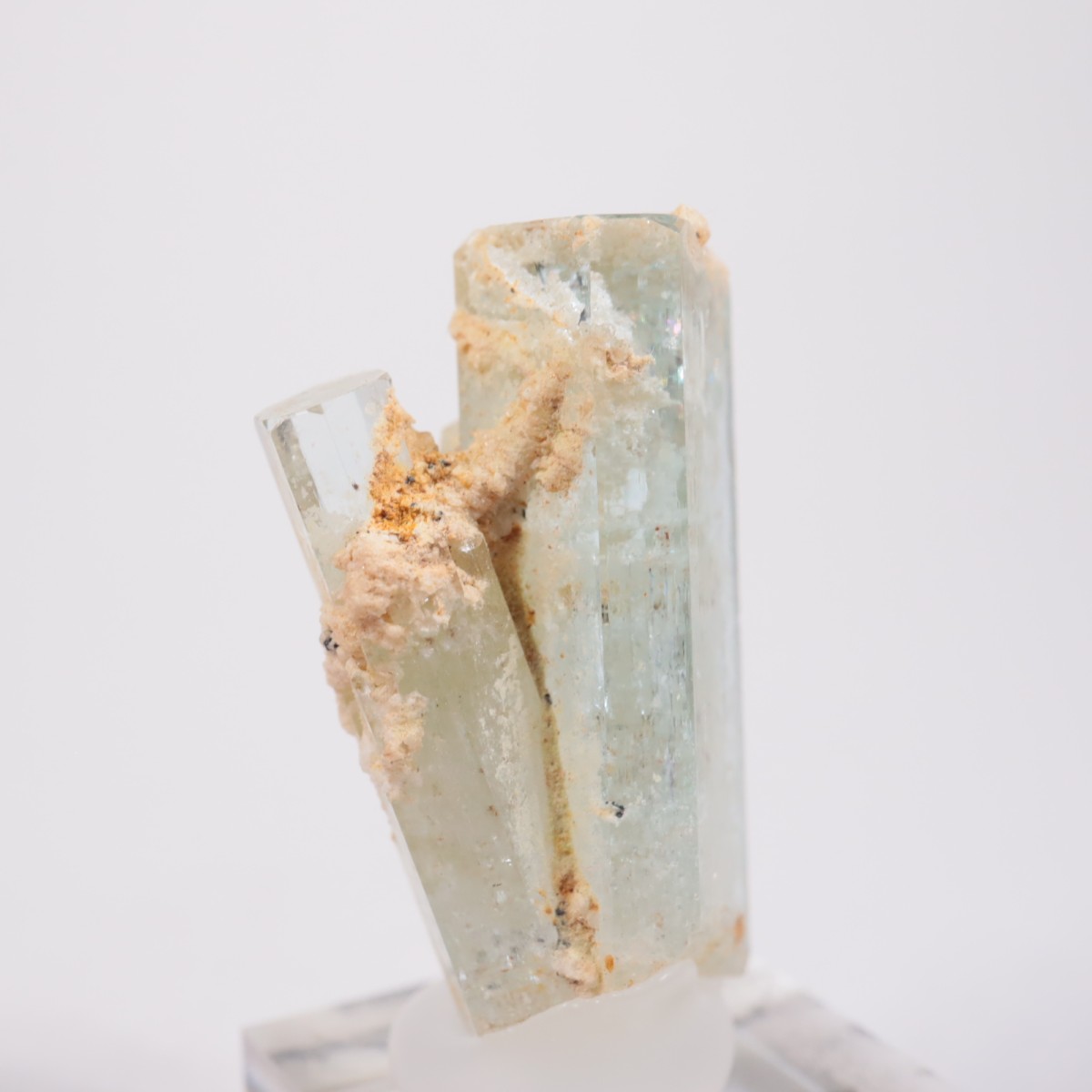 �����󥴹ۻ��� �������ޥ��