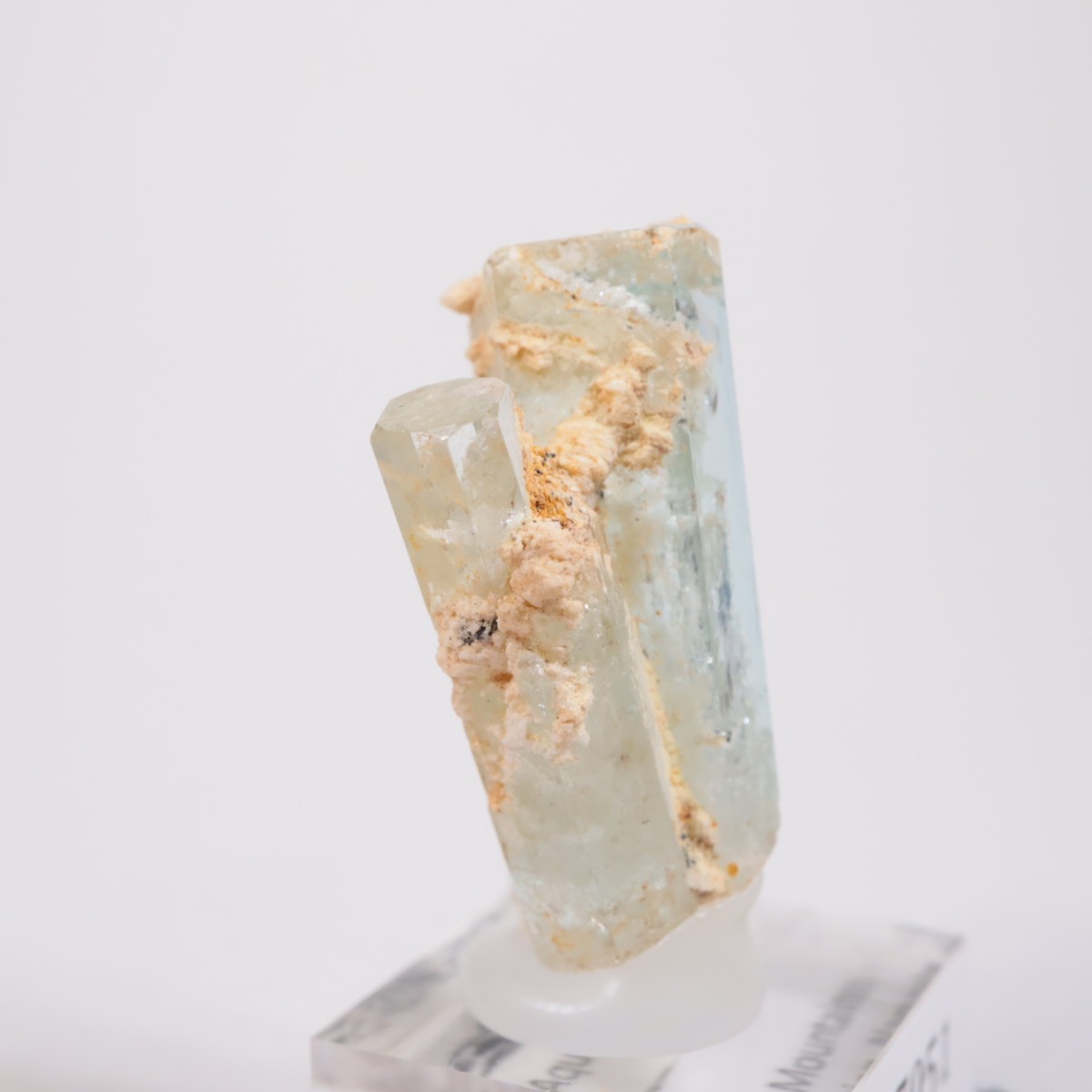 �����󥴹ۻ��� �������ޥ��