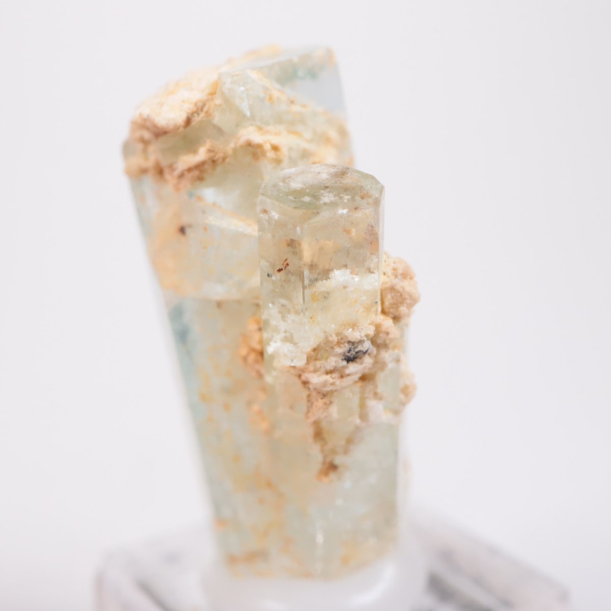 �����󥴹ۻ��� �������ޥ��