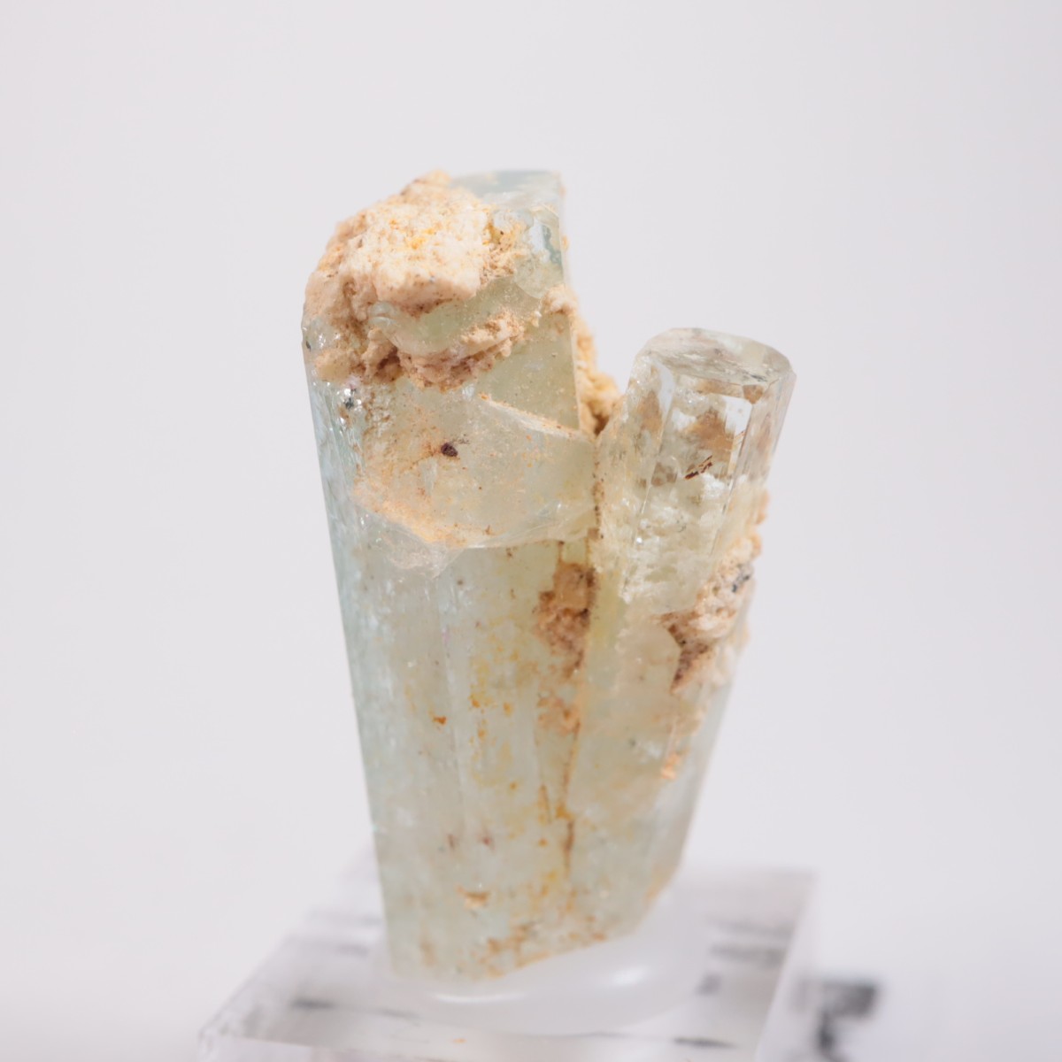 �����󥴹ۻ��� �������ޥ��