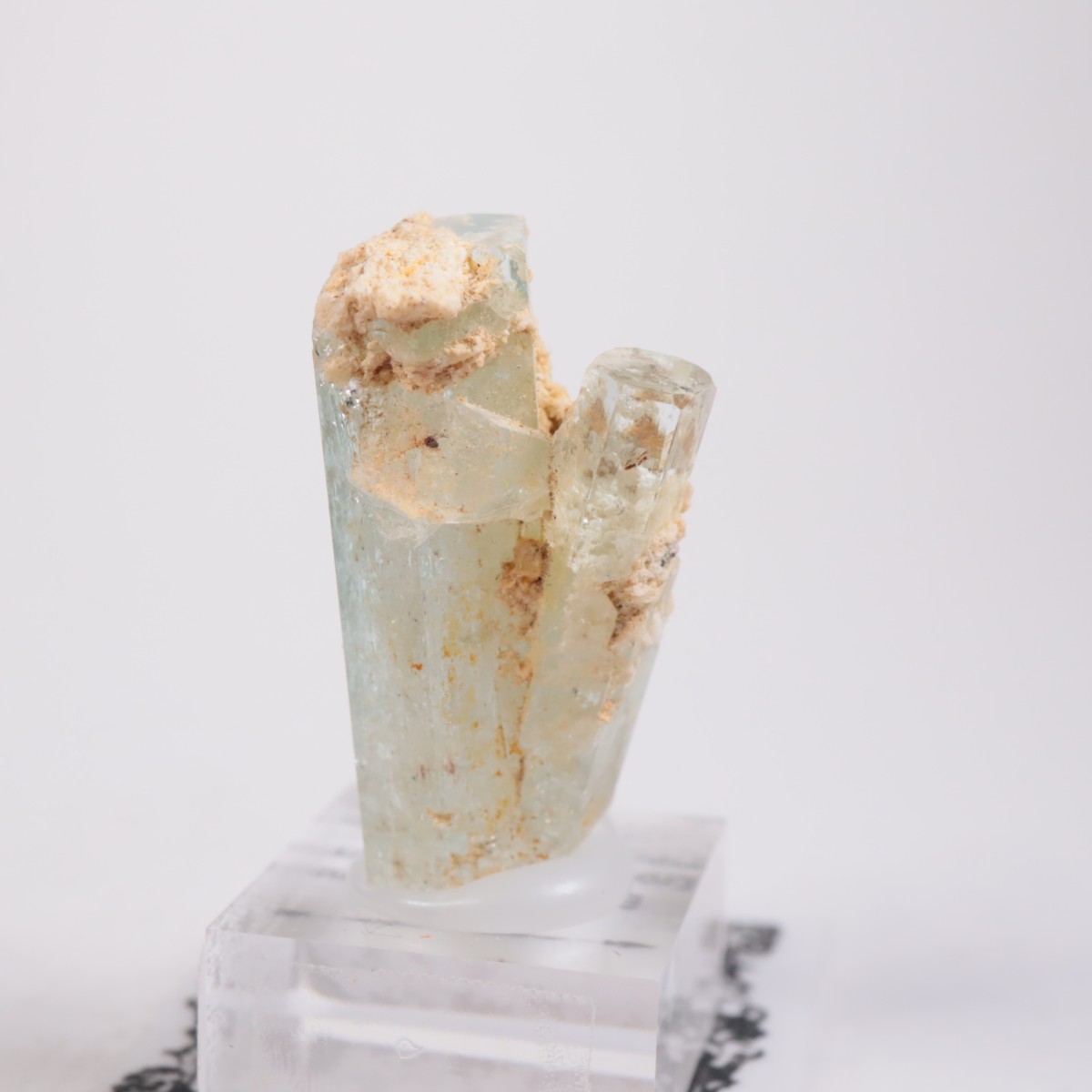 �����󥴹ۻ��� �������ޥ��