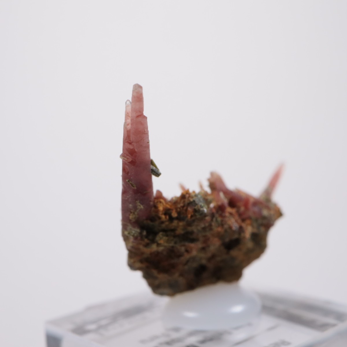 San Felipe�ۻ� ��åɥ�������