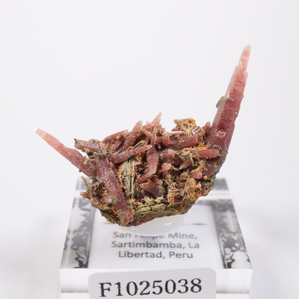 San Felipe�ۻ� ��åɥ�������