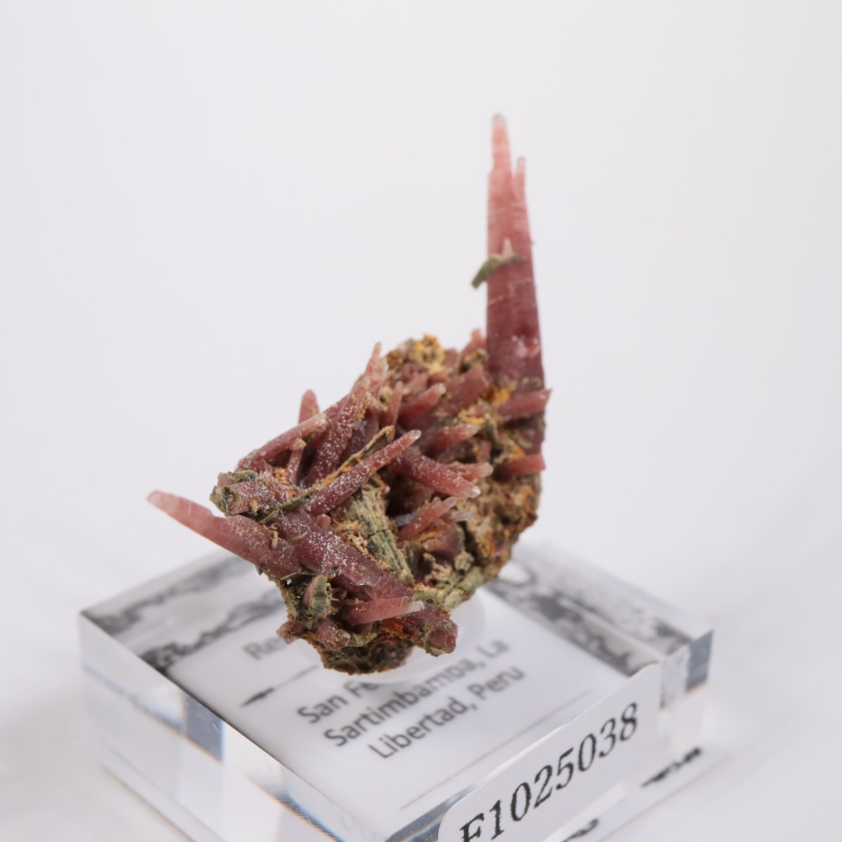 San Felipe�ۻ� ��åɥ�������