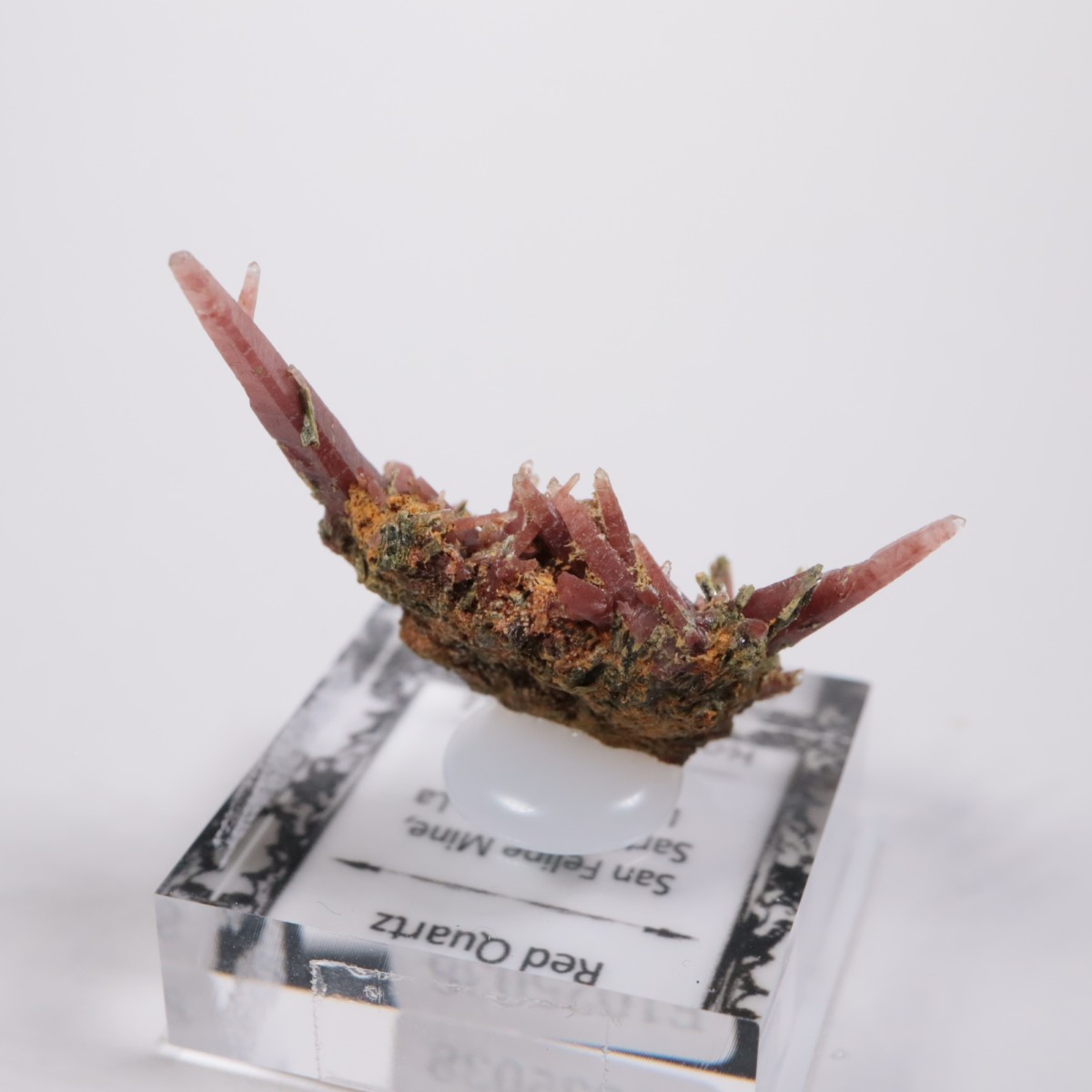 San Felipe�ۻ� ��åɥ�������