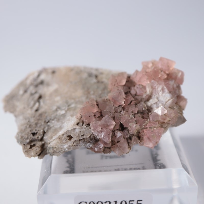 ���֥�󻺡��ե����饤��