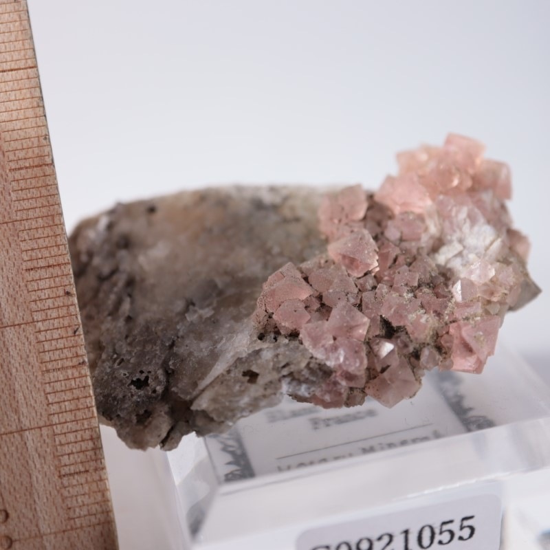 ���֥�󻺡��ե����饤��