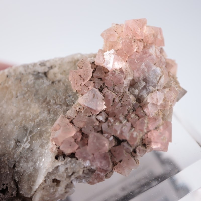 ���֥�󻺡��ե����饤��