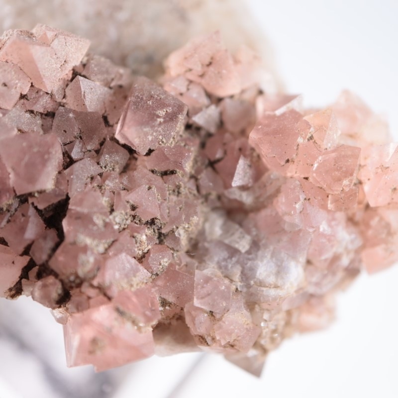 ���֥�󻺡��ե����饤��