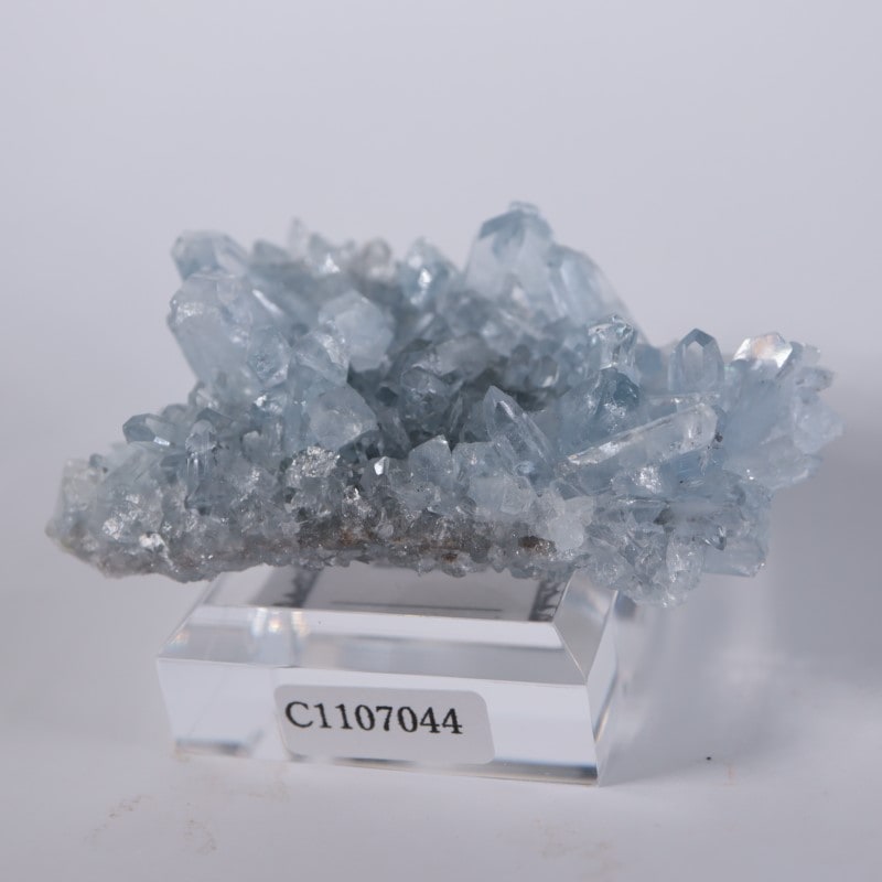 マダガスカル産 セレスティン | 鉱物標本,サ行,セレスタイト