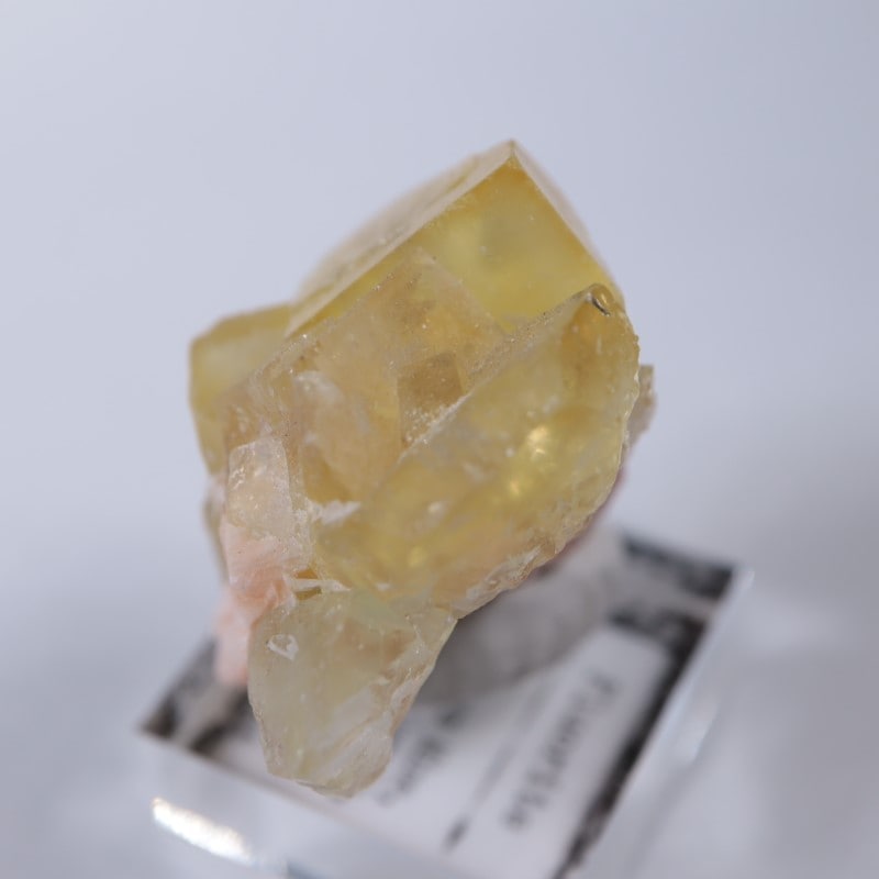 El Hammam�ۻ����ե����饤��