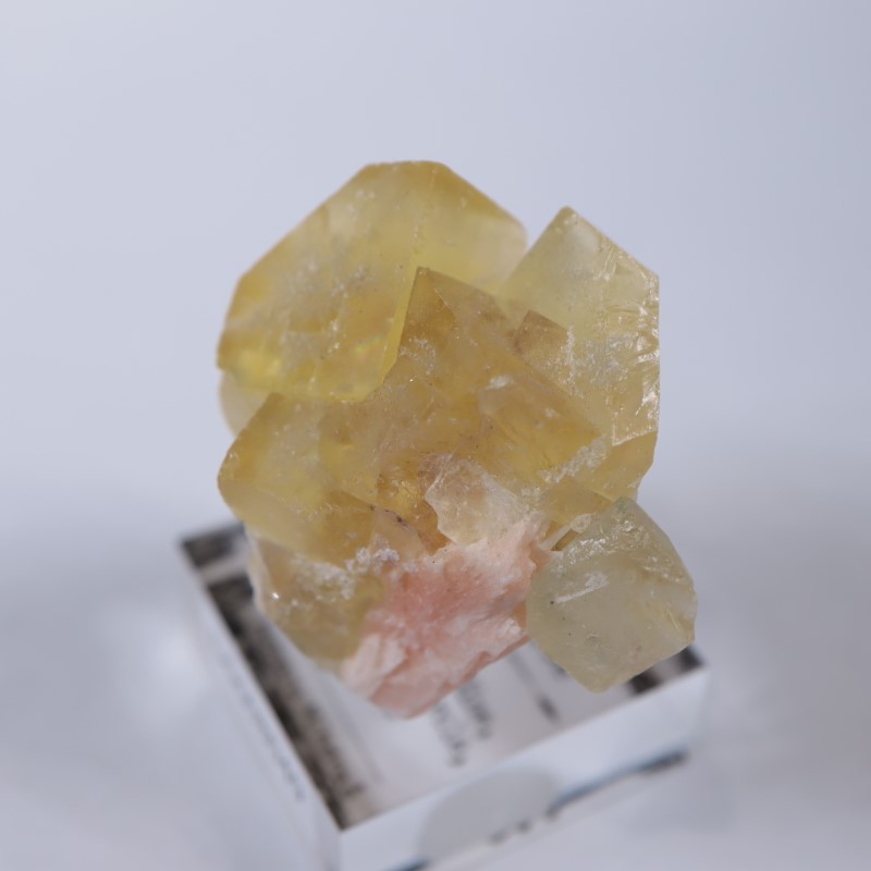 El Hammam�ۻ����ե����饤��