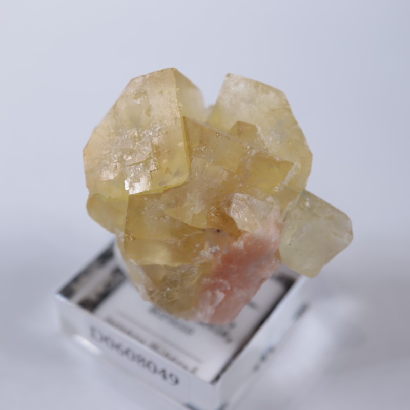 El Hammam�ۻ����ե����饤��