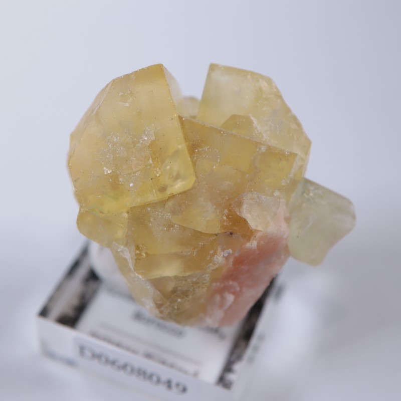 El Hammam�ۻ����ե����饤��