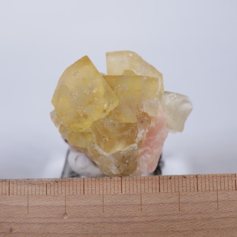 El Hammam�ۻ����ե����饤��