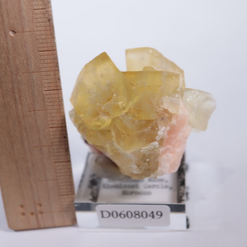 El Hammam�ۻ����ե����饤��