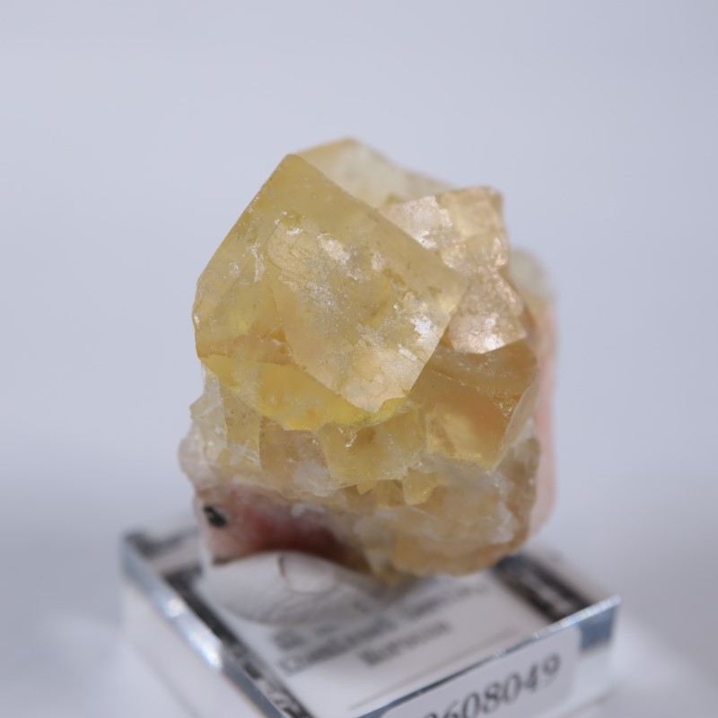 El Hammam�ۻ����ե����饤��