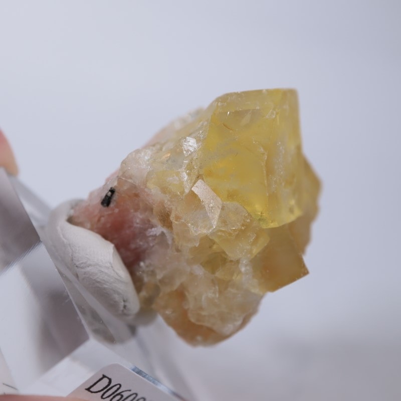 El Hammam�ۻ����ե����饤��