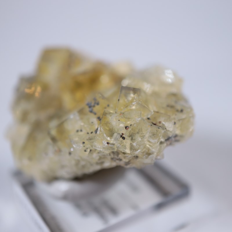 閉山ヒルトン鉱山　フローライト 蛍石　鉱物　鉱物標本 原石 fluorite ヒルトン鉱山 フローライト | 鉱物標本,ハ行,フローライト/蛍石