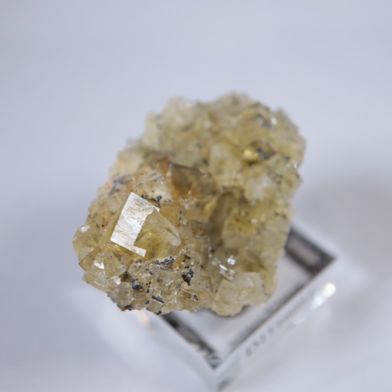 閉山ヒルトン鉱山　フローライト 蛍石　鉱物　鉱物標本 原石 fluorite ヒルトン鉱山 フローライト | 鉱物標本,ハ行,フローライト/蛍石