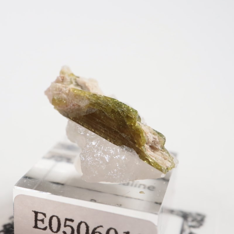 �֥饸�뻺���ȥ�ޥ��