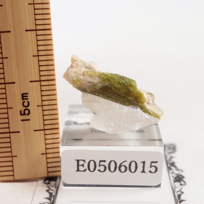 �֥饸�뻺���ȥ�ޥ��