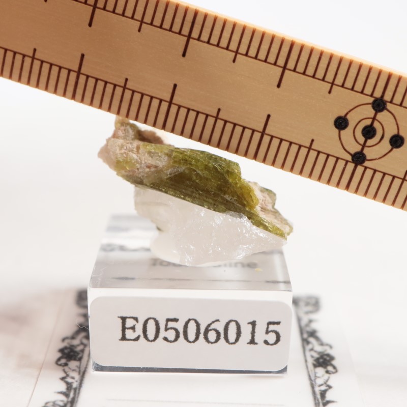 �֥饸�뻺���ȥ�ޥ��