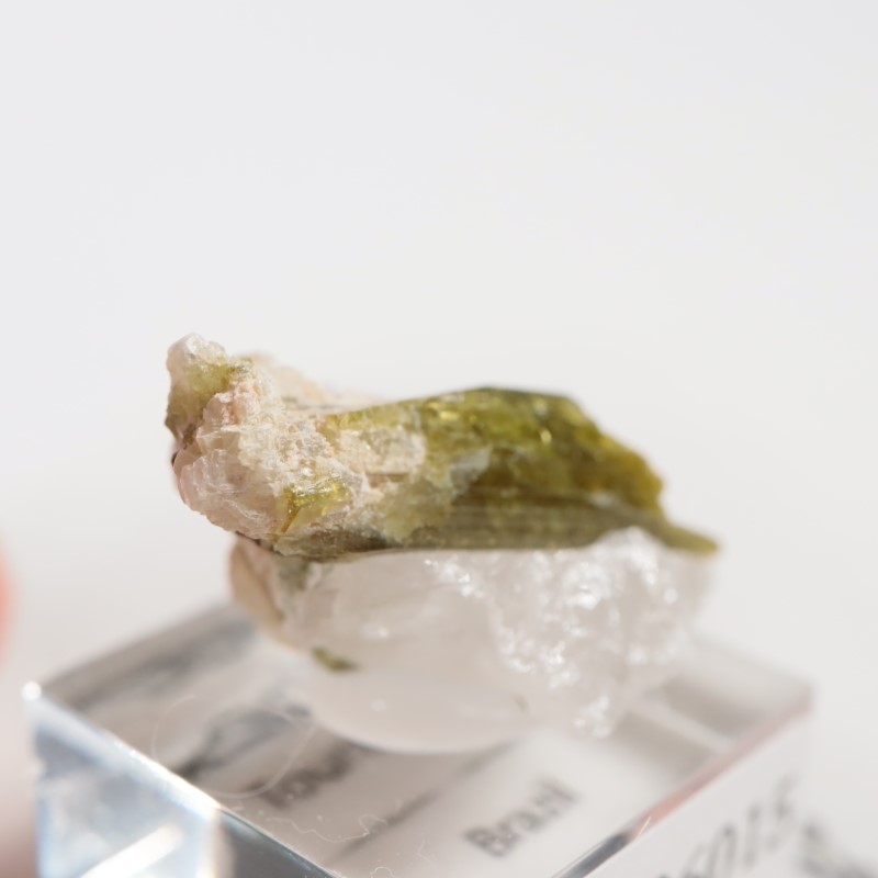 �֥饸�뻺���ȥ�ޥ��