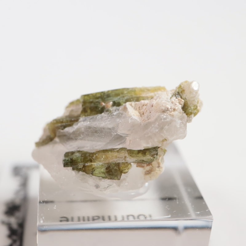 �֥饸�뻺���ȥ�ޥ��