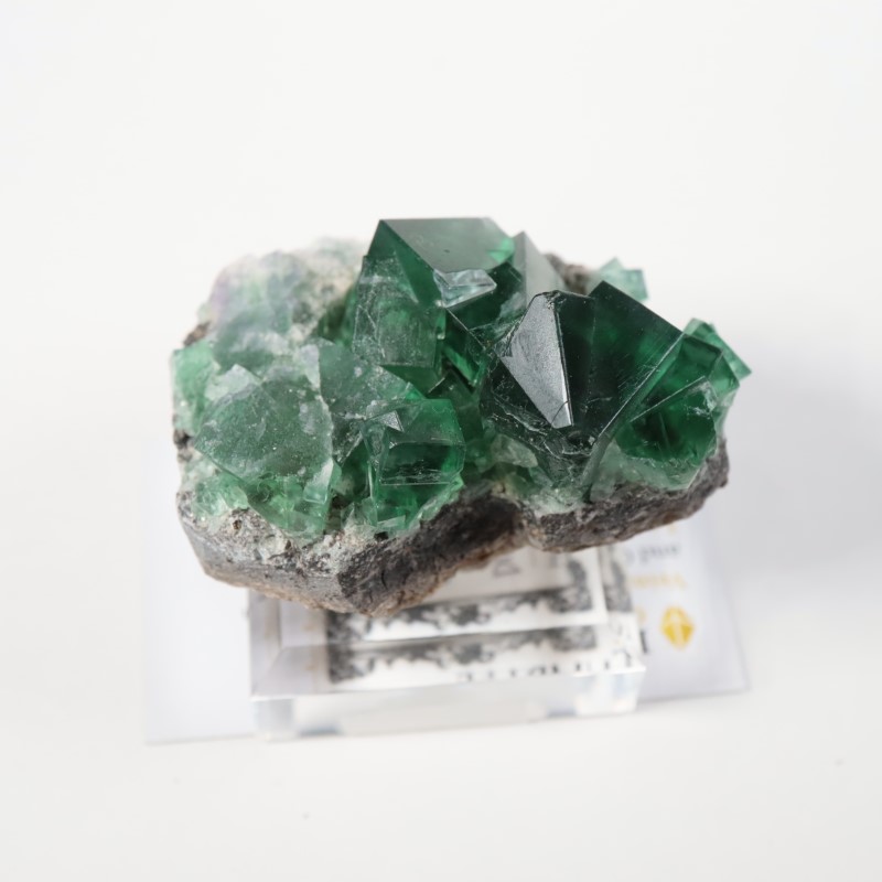 Greedy Hog Pocket フローライト | 鉱物標本,ハ行,フローライト